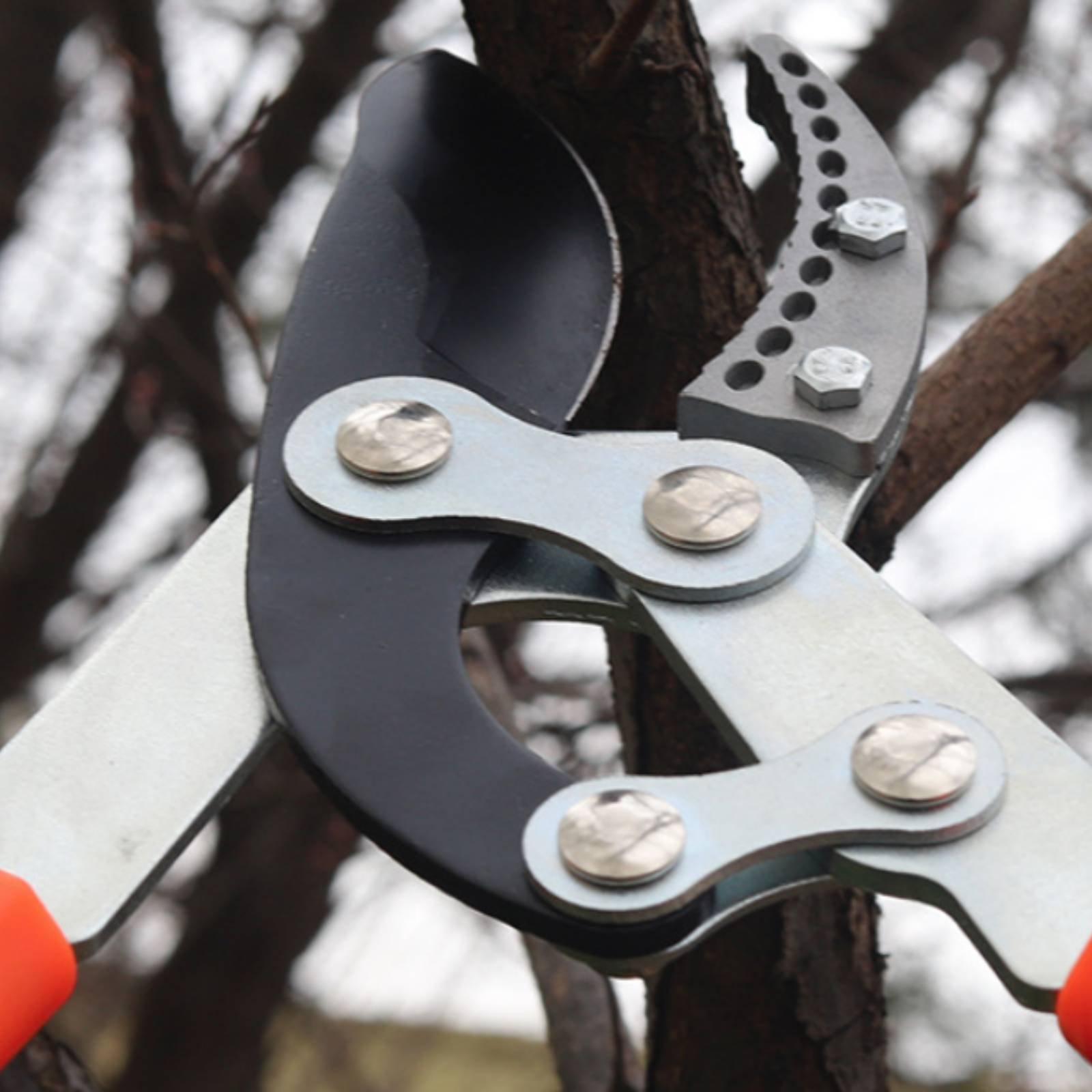 Garden Tools - Telescopic Branch Pruners Sharp Blade Sturdy
