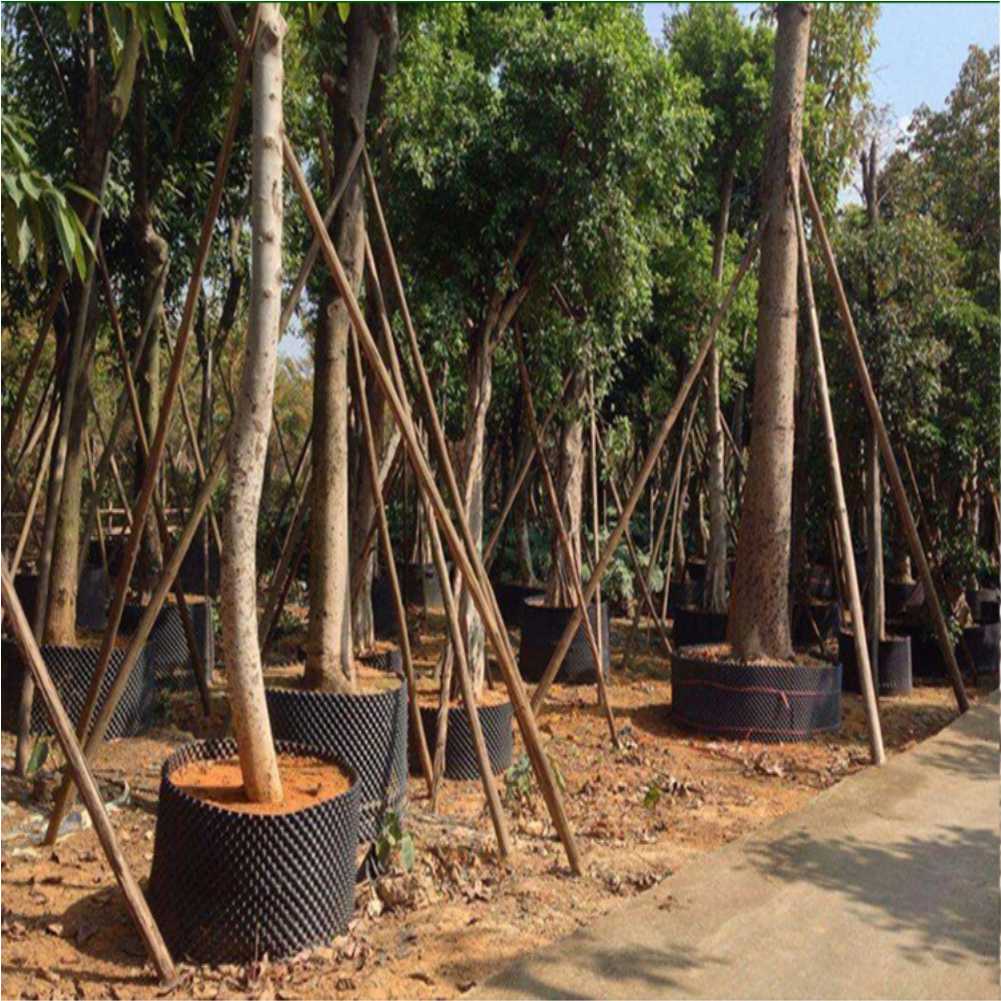 Grow Container Garden Tree Bon - огляд і ціна Garden Tools