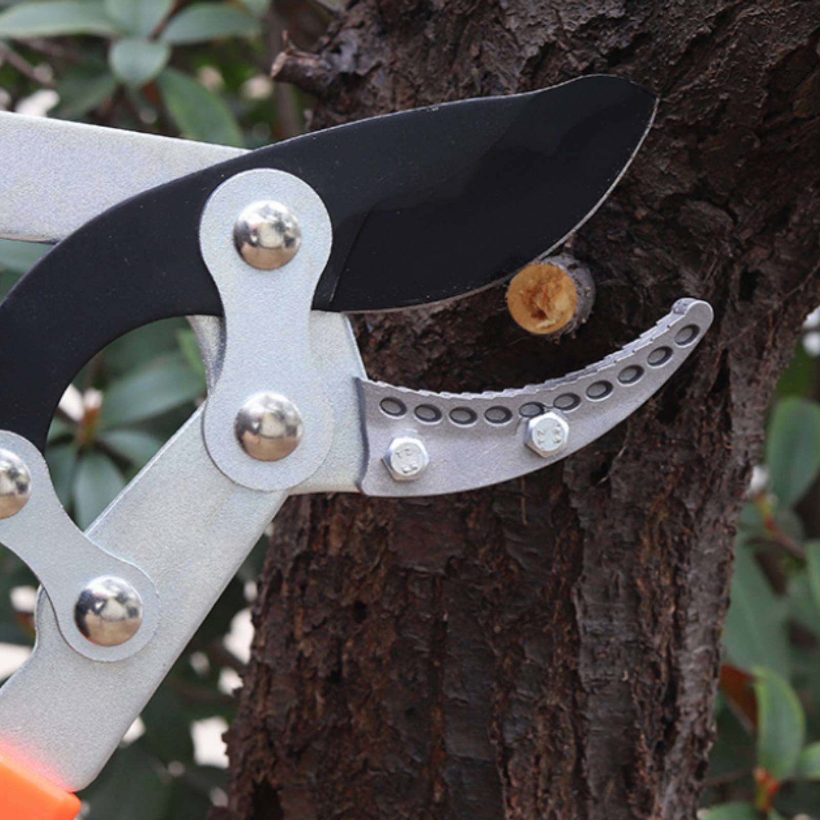 Telescopic Branch Pruners Shar - огляд і ціна Garden Tools
